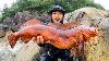 Greatest Catch And Cook Of All Time Alaska Coastal Foraging Red Lingcod And Hot Springs